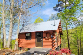 Cozy Cabin